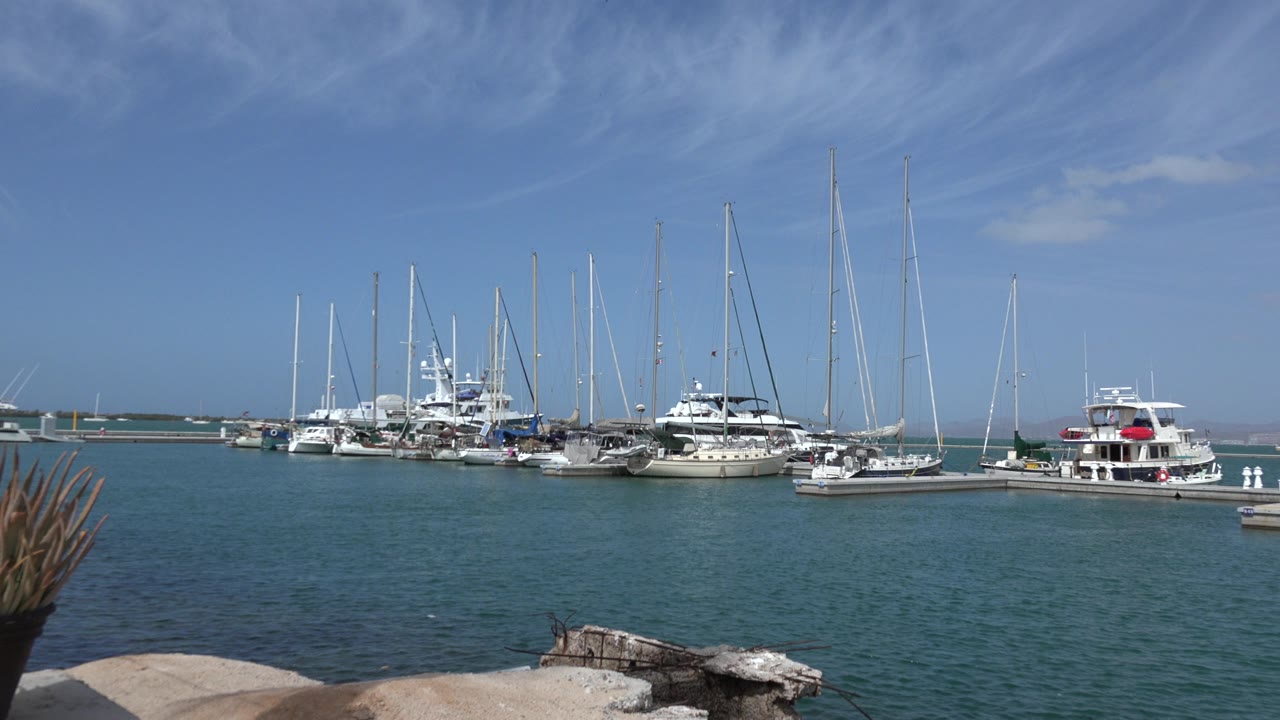 Los Cabos marina boats sit across the midground with tall sailboat masts rising into a pale blue sky and no visible people.