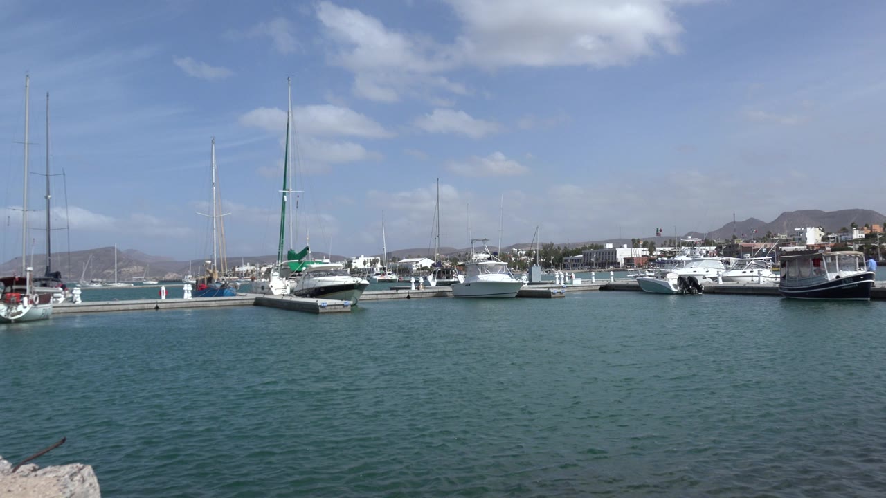 Marina water with docked sailboats and motorboats under a blue sky.