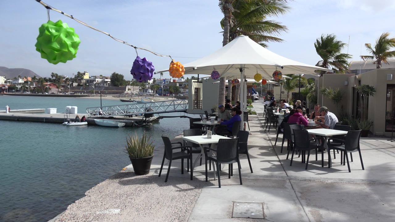 Marina-side restaurant seating with diners, lanterns, boats, palms, and water.