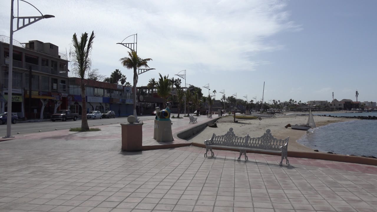 A Los Cabos promenade view shows the white bench slightly right of center, a trash bin and palms near the walkway, low buildings and parked cars on the left, and no visible people.