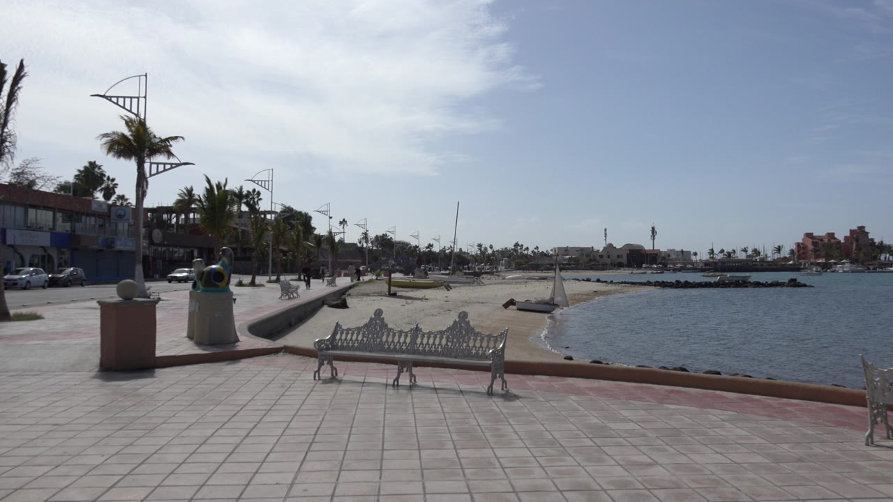 Opening view of a Los Cabos waterfront promenade with white benches in the foreground, palm trees and parked cars to the left, blue bay to the right, and no clearly visible people.