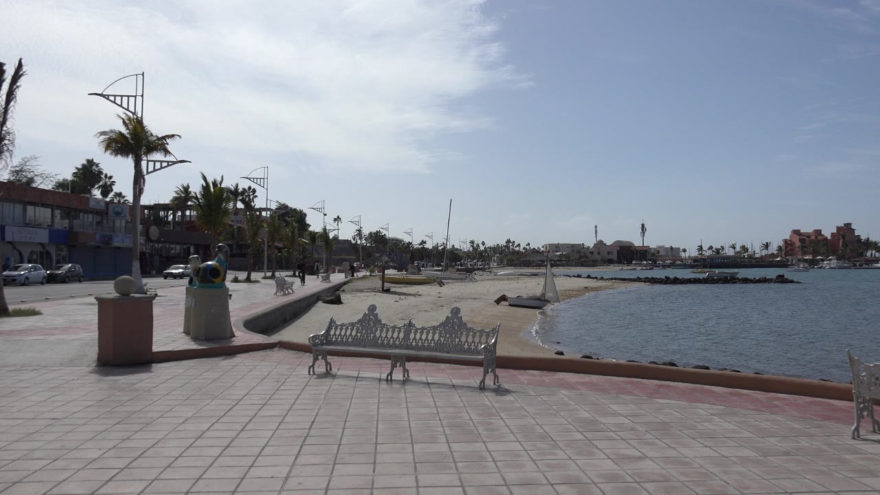 Los Cabos promenade view with decorative benches centered near the seawall, palm-lined avenue and parked cars on the left, open bay on the right, and no clearly visible people.