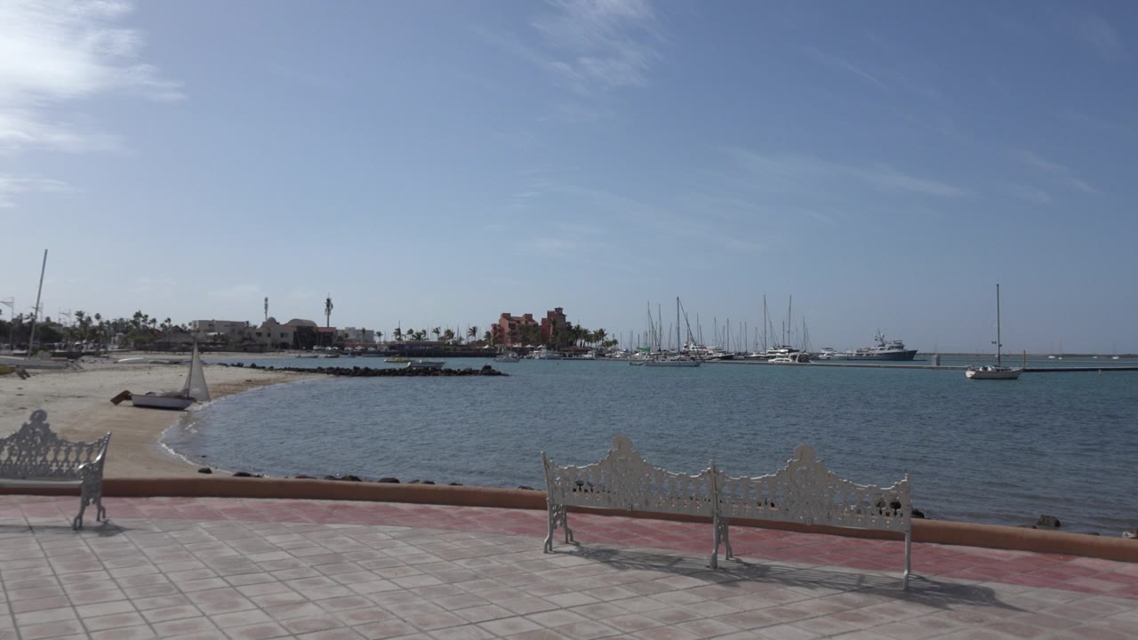Blue bay with promenade benches, sailboats, palms, and low buildings in daylight.