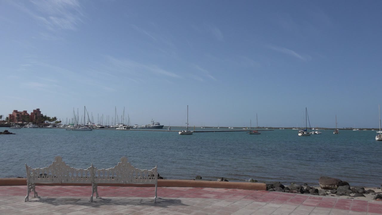 Waterfront bench facing a harbor with boats