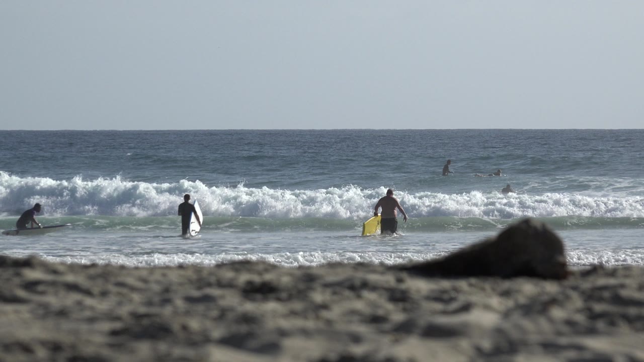 Surfers with boards stand in shallow ocean water near breaking waves.