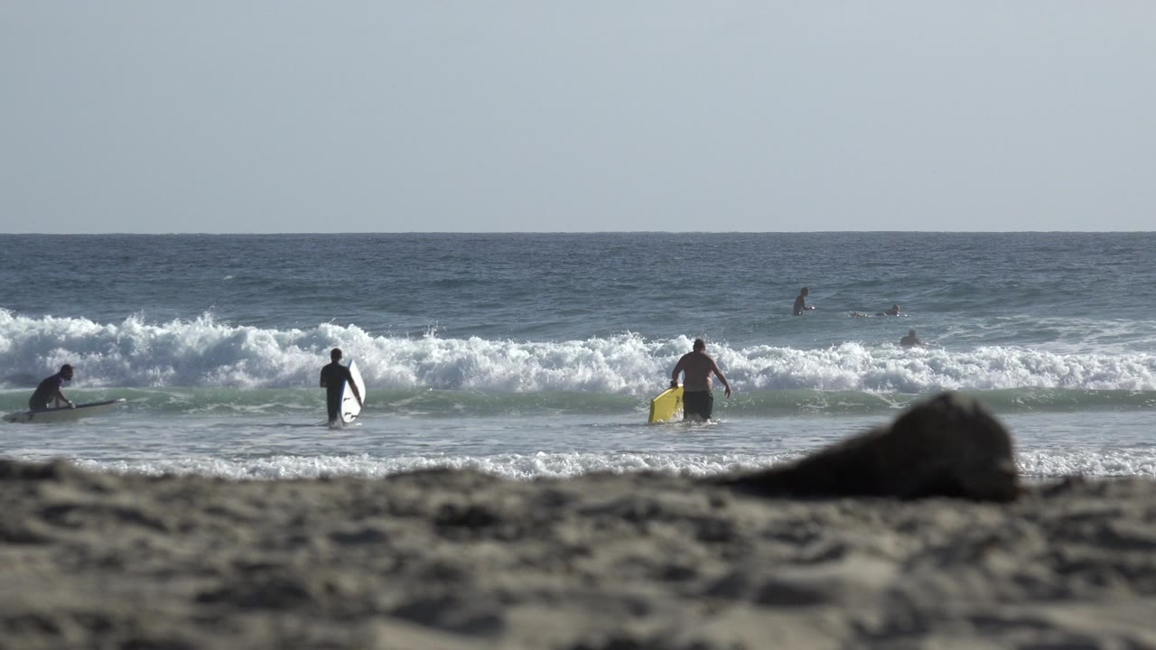 A surfer with a yellow board moves through shallow water at a Los Cabos beach while other surfers wait near the white break.