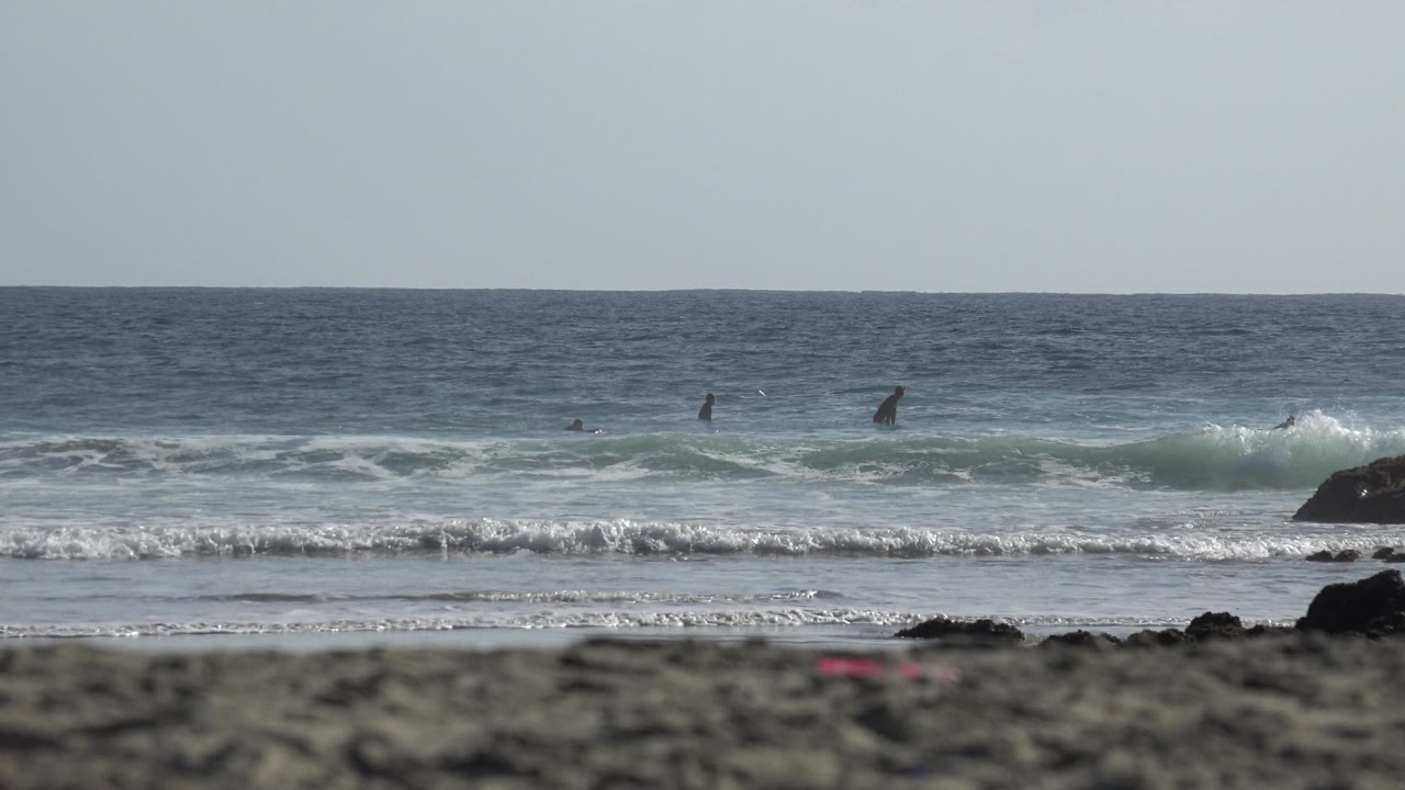 Waves break behind dark shoreline rocks under a pale sky.