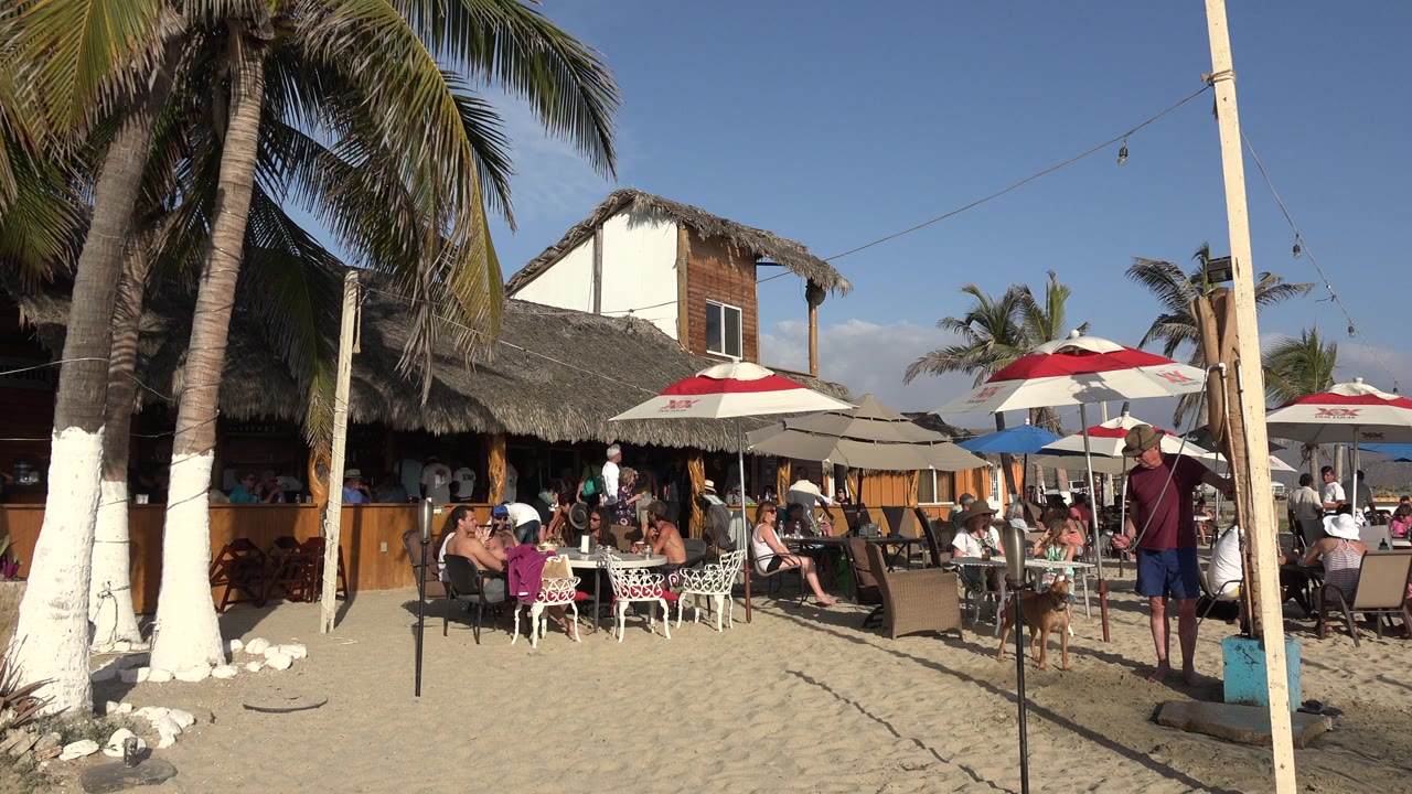 Los Cabos beach bar and restaurant with white palm trunks, shaded tables, red-and-white umbrellas, and patrons gathered in bright sun.