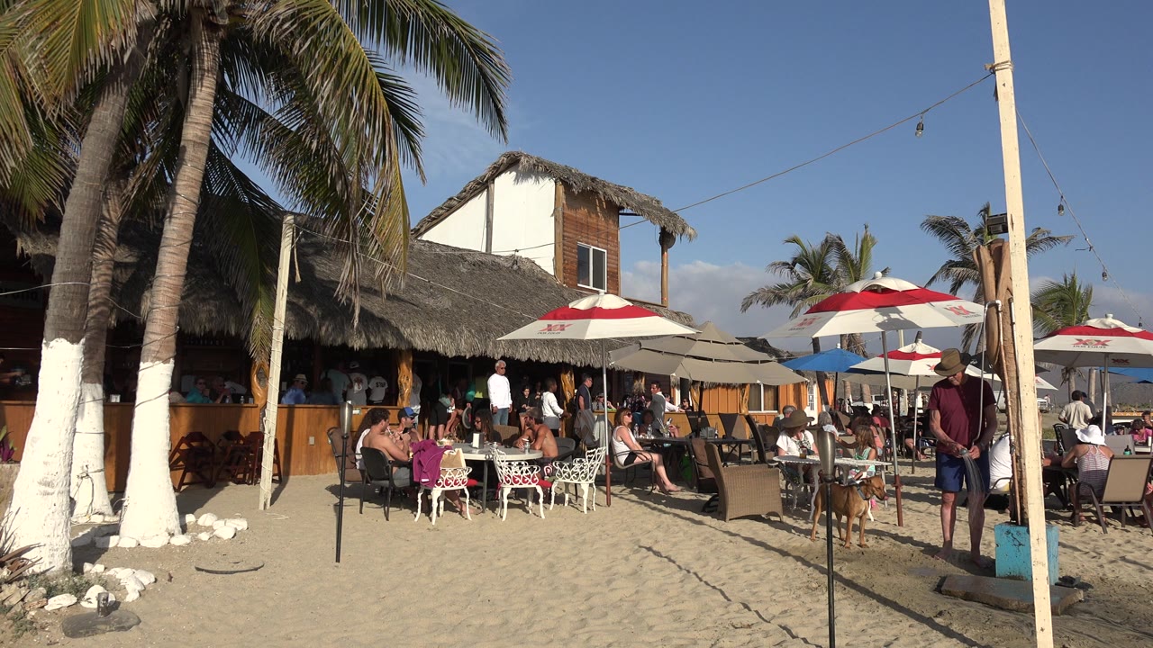 Beachside restaurant patio with diners, umbrellas, palm trees, and sand.