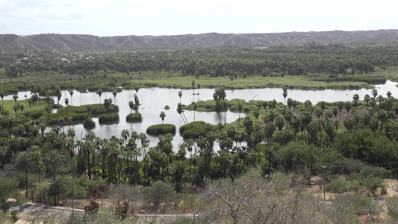 Opening frame of a Los Cabos, Mexico lake landscape with green palms around the water, dry brush in front, low hills in back, and no visible people.