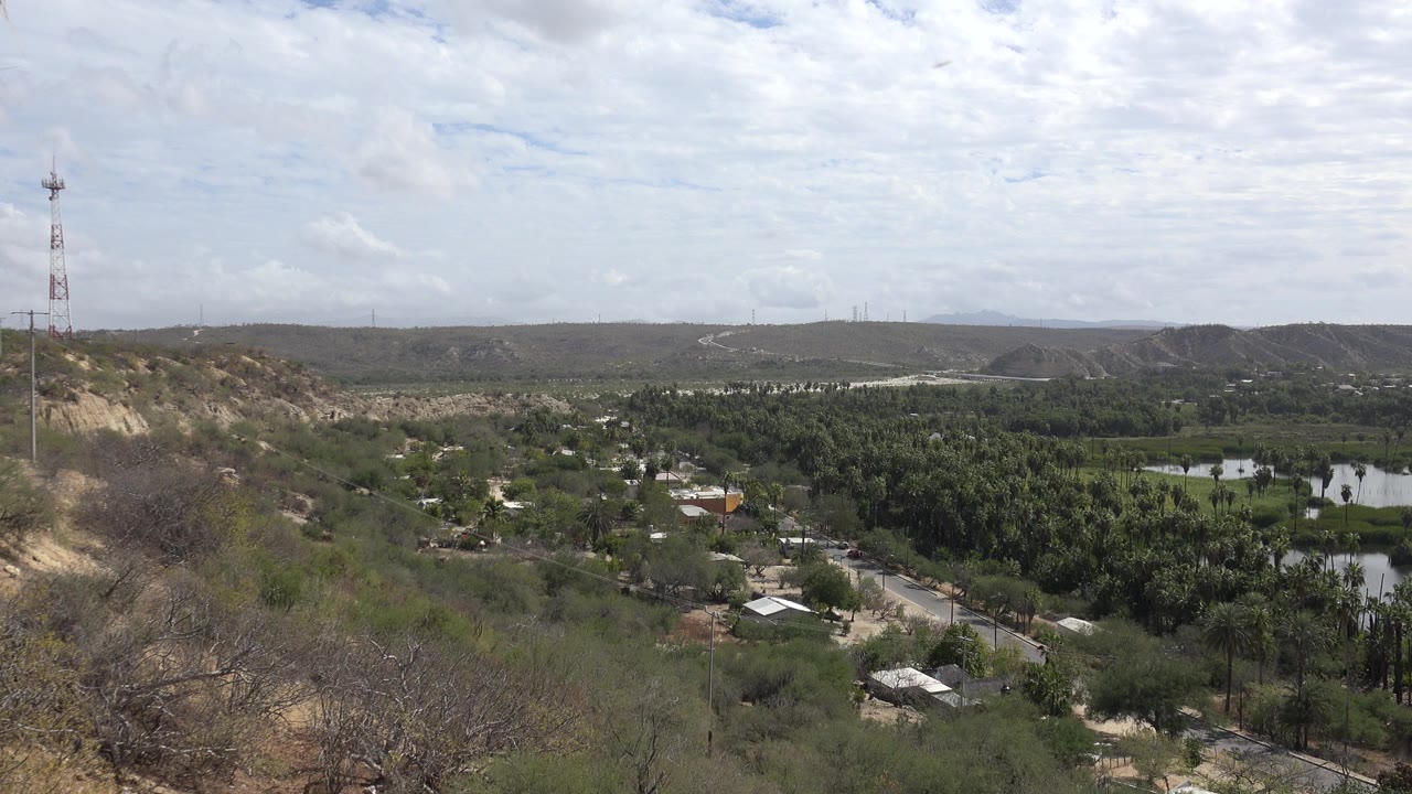 Wide hillside view over palms, ponds, roads, and distant hills