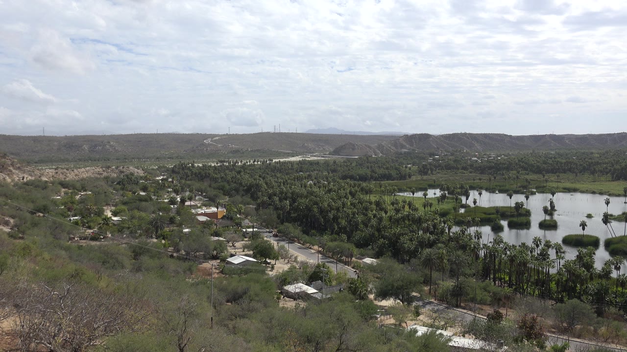 Wide countryside view with palms, small lakes, dry foreground brush, and cloudy sky.