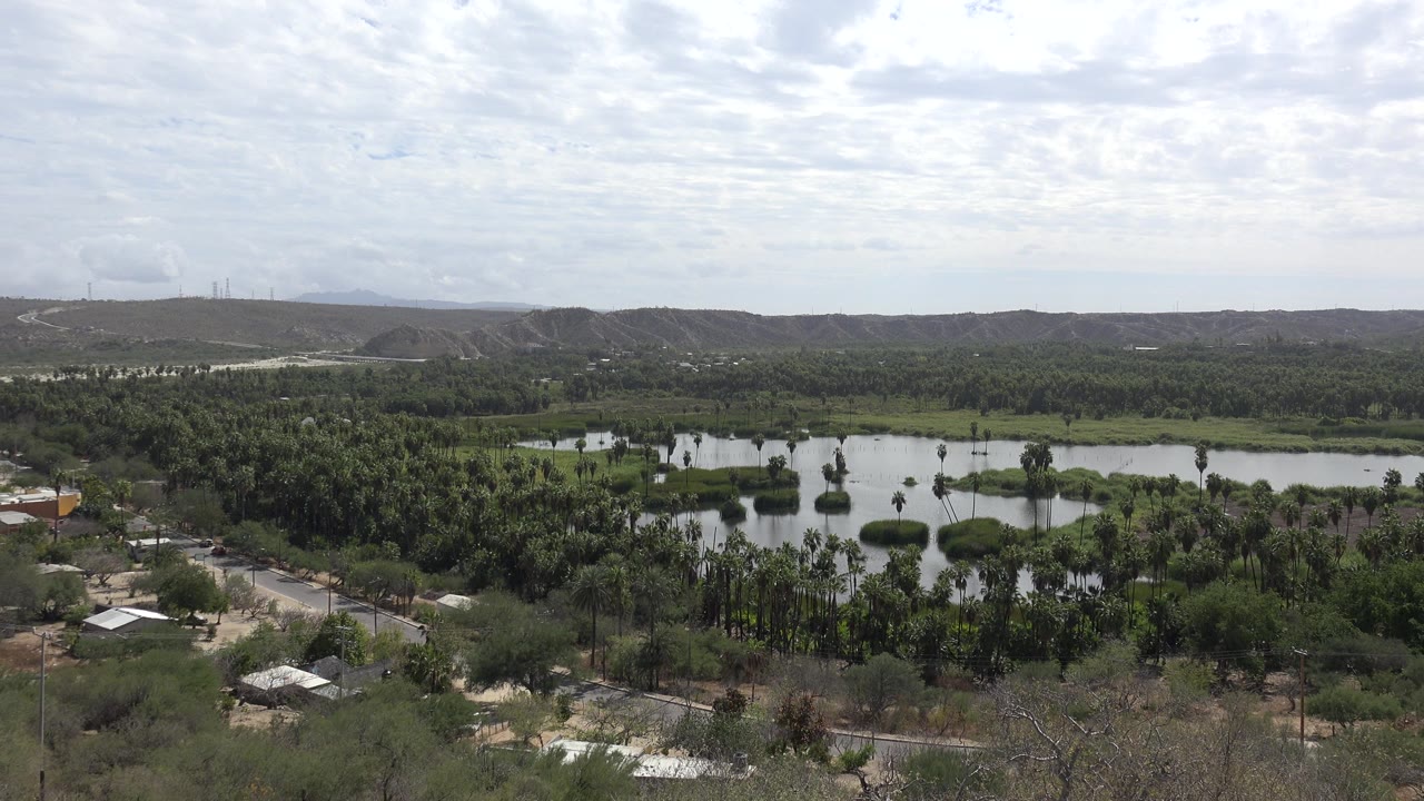 Wide view of a lake, palms, low hills, and cloudy sky.