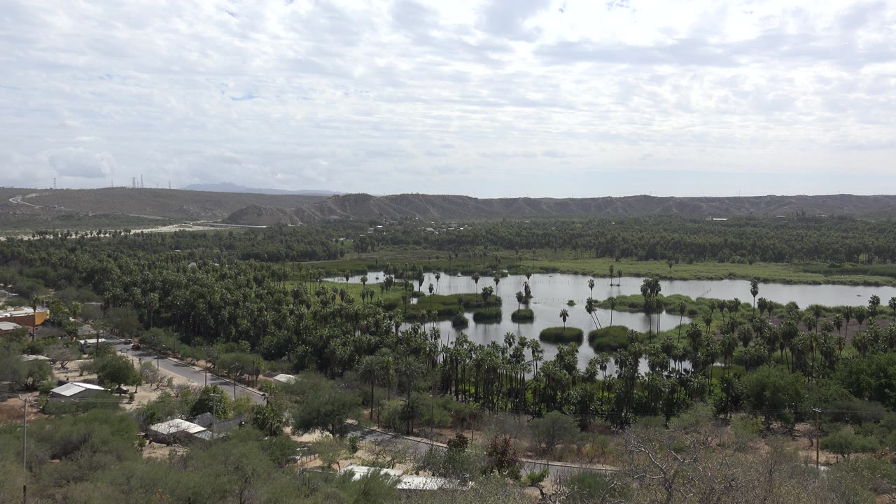 Early frame of the Los Cabos landscape, showing reflective lake water centered behind a palm grove, a road and small structures below, low hills beyond, and no visible people.