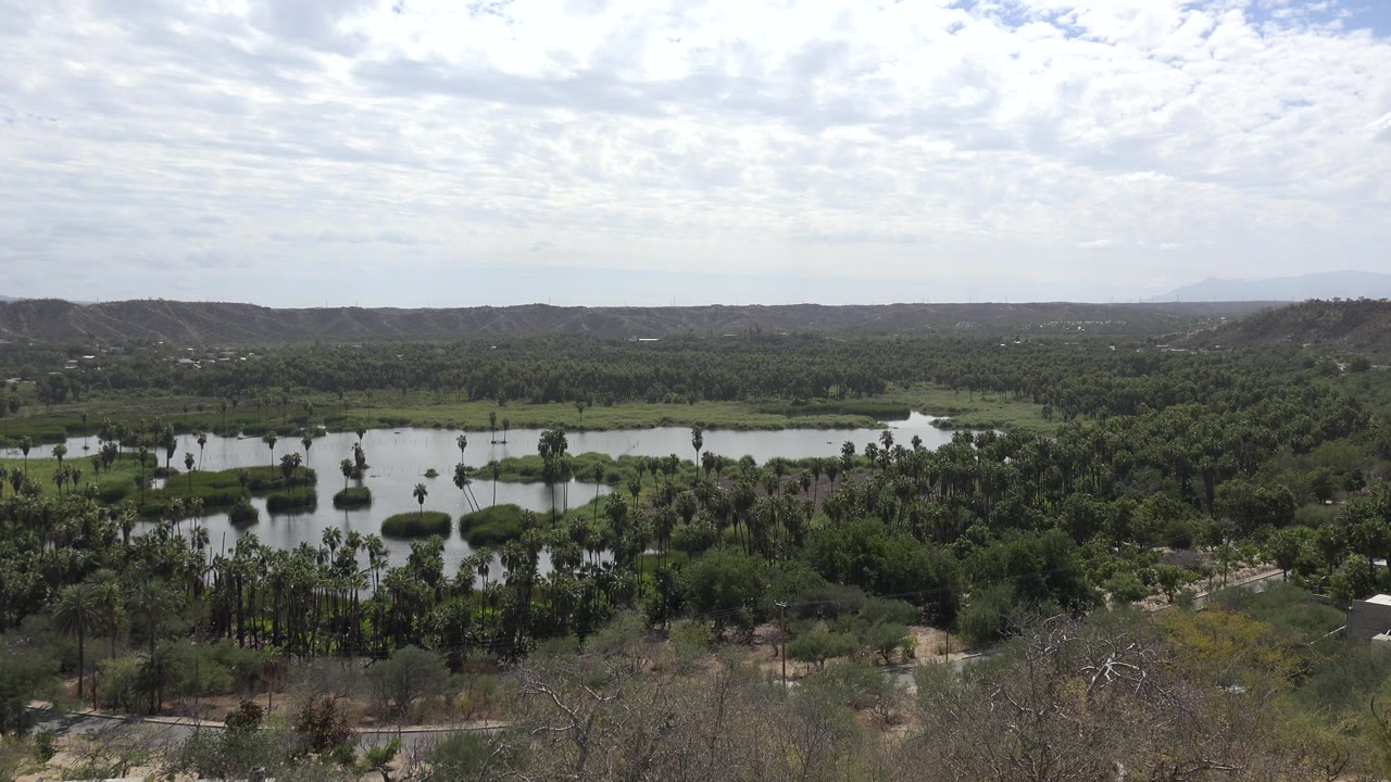 High view across Los Cabos greenery with reflective water pockets, palm-like trees near the shore, distant brown hills, and no visible people.