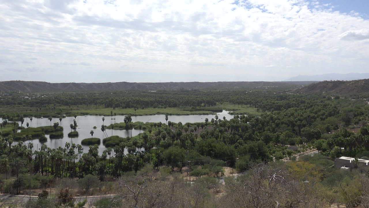 Broad valley with green trees, water, low hills, and bright sky