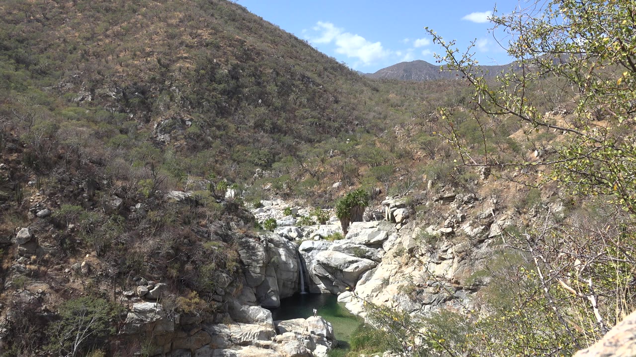 A rocky stream pool sits below scrub-covered hills in Los Cabos, Mexico, with foreground branches at right and no visible people.