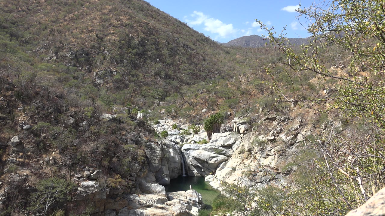 Los Cabos ravine view with a dark green pool tucked below white rock, scrub-covered slopes, foreground branches, and no visible people.
