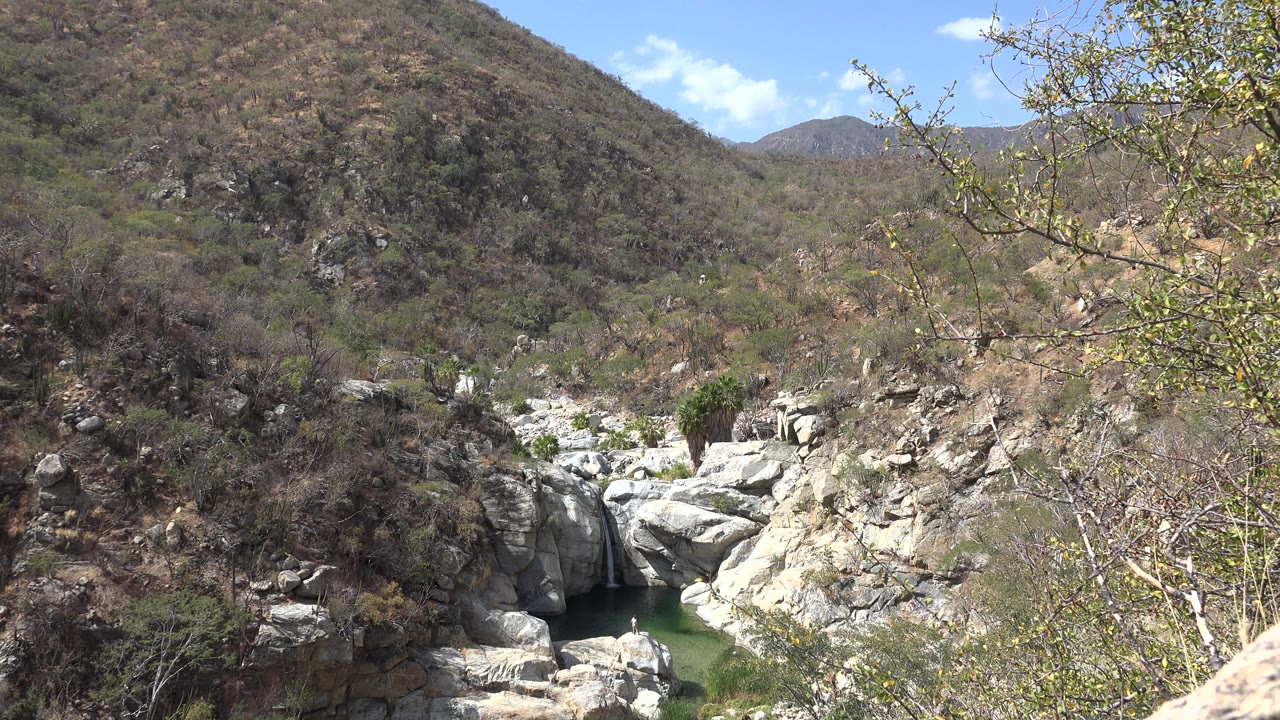 Los Cabos, Mexico landscape frame with a small green pool tucked below pale rock faces, dry hillside brush, a thin branch at right, and no visible people.
