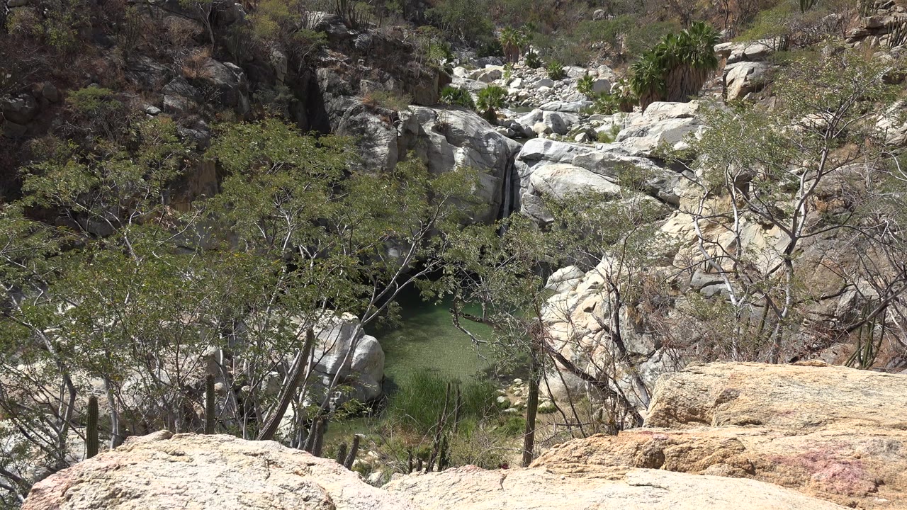 Los Cabos, Mexico rocky canyon with pale boulders, scrub trees, a small green pool, and falling water near the upper center, no visible people.