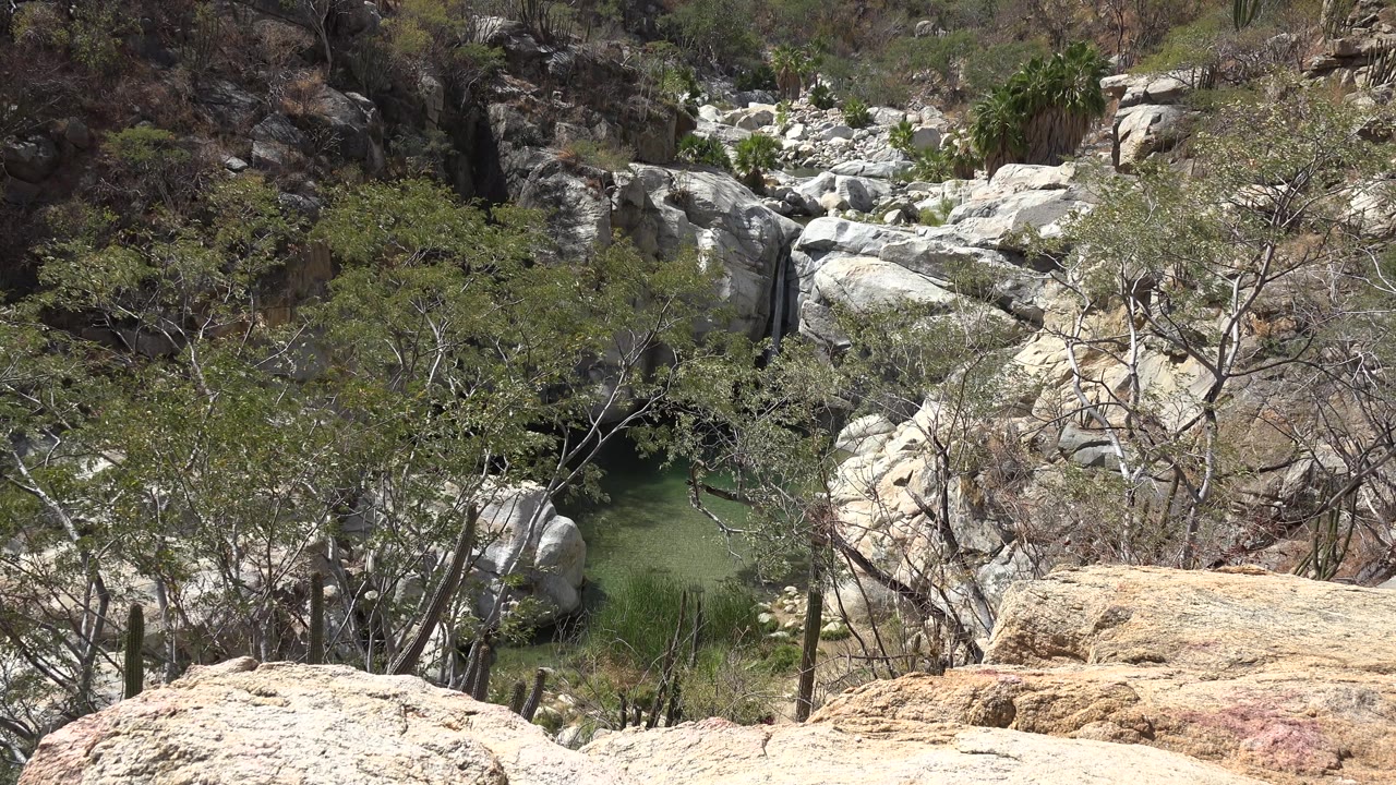 Boulders and scrub trees around a narrow waterfall
