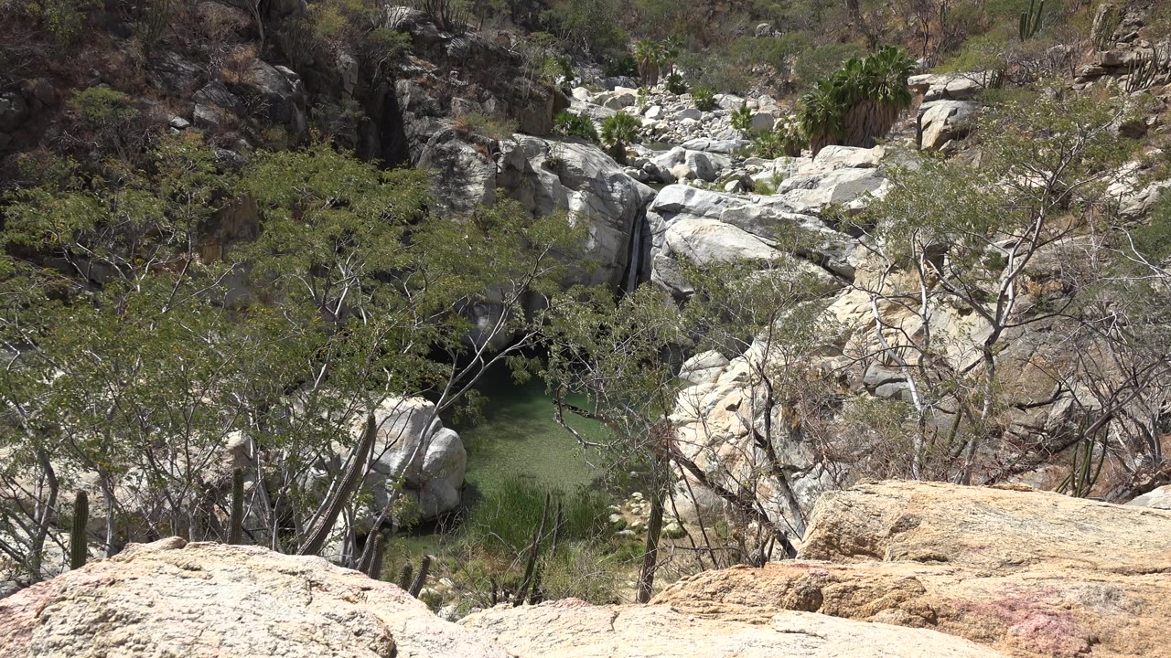 Opening frame of a rocky Los Cabos ravine with pale foreground rock, scrub trees around green water, large boulders, and no visible people.