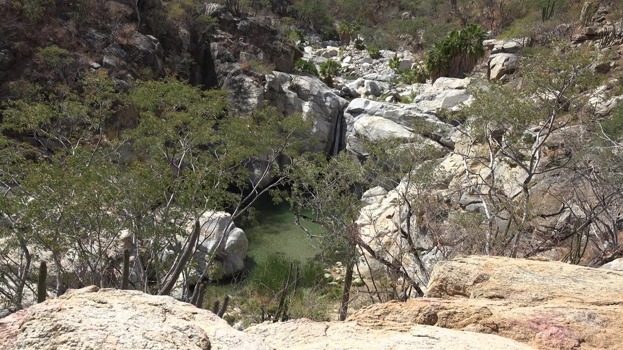 A Los Cabos mountain ravine view shows scrubby trees partly covering a green pool, with pale boulders and darker rock behind, and no visible people.