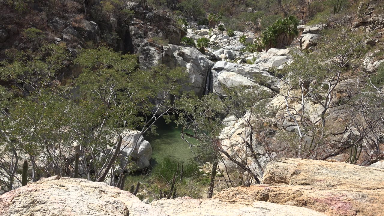 Pale rocks and scrub trees in a dry ravine