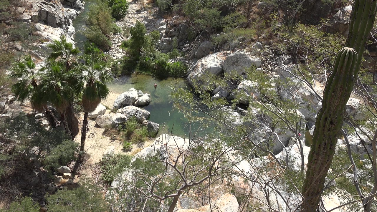 Sunlit boulders around a small pond with palms