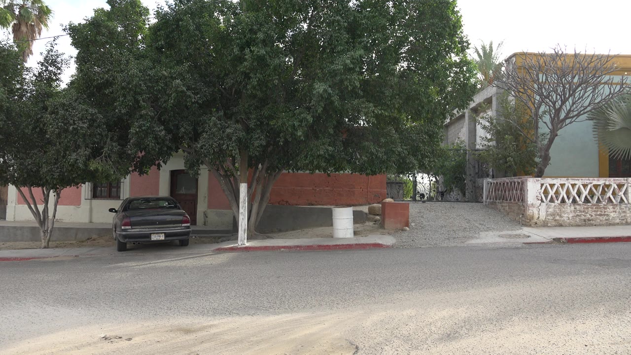 Quiet street with trees, homes, and a parked dark car