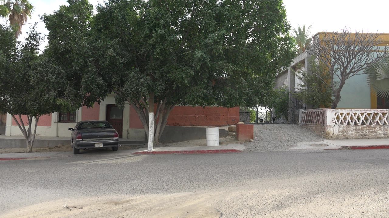 Los Cabos street view showing a gravel driveway between homes, white railing, pink wall sections, mature trees, and no visible people.