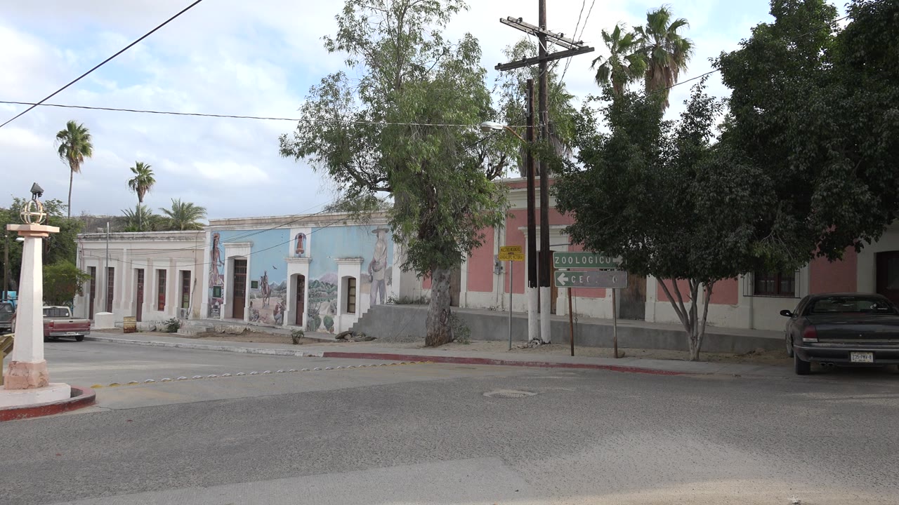 Quiet street with mural building, trees, cars, and utility lines.