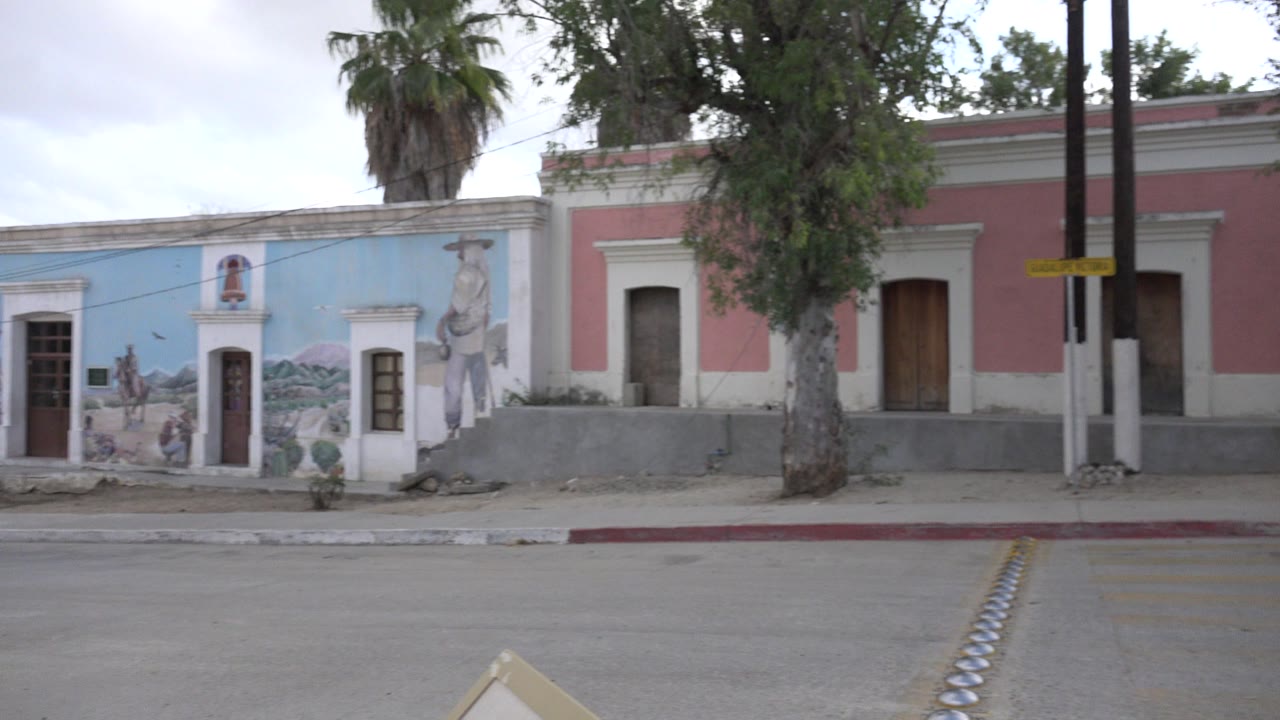 Pastel building facades across an empty road with trees