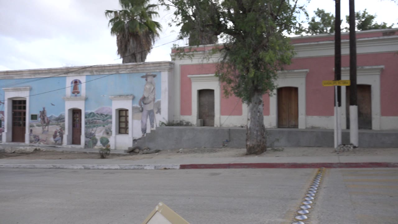 Los Cabos street view centered on a blue mural-painted facade beside a pink building, with palm trees, pavement, and no visible people.
