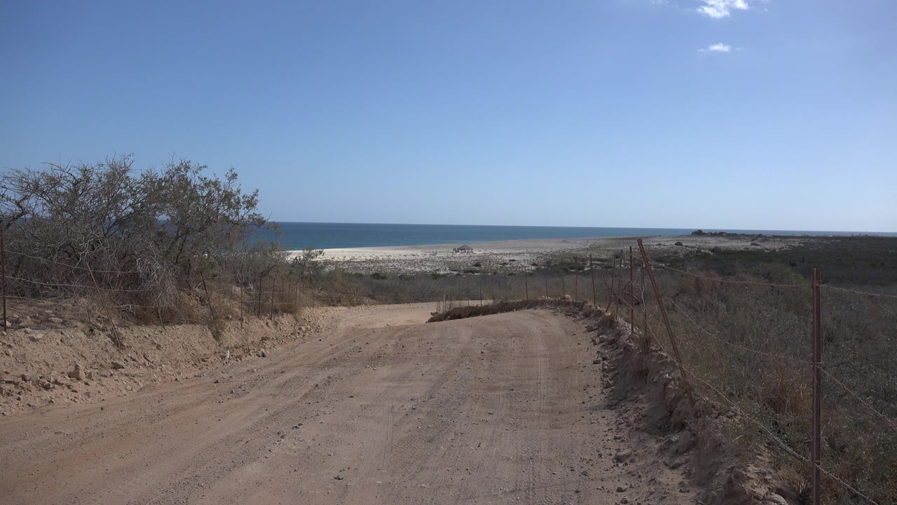 Cabo Pulmo road bend fills the foreground with dry roadside brush on the left, wire fencing on the right, and the ocean line beyond, with no visible people.