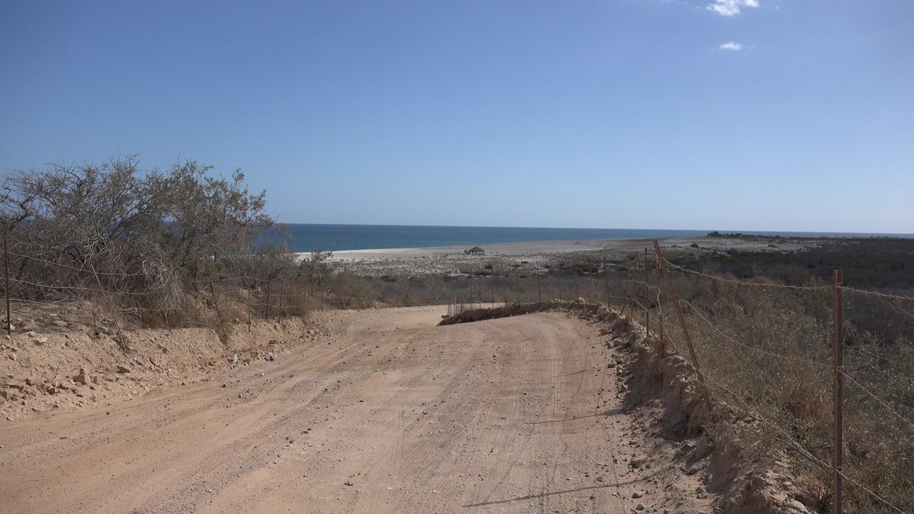 Coastal dirt road with trees, fence, beach, and sea
