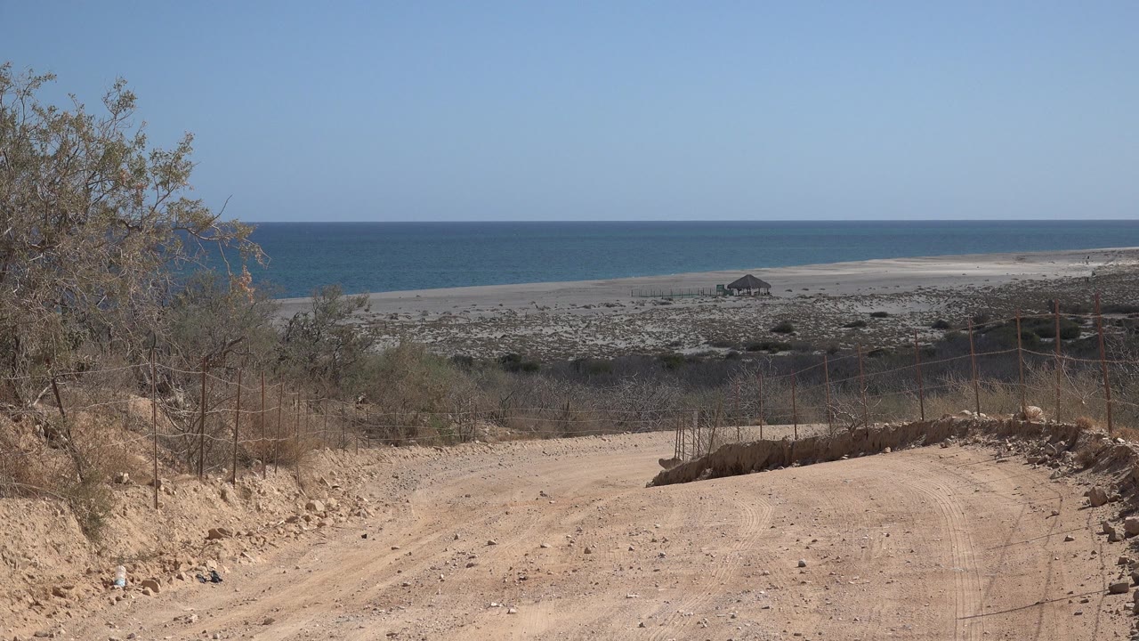 Cabo Pulmo, Mexico beach approach with tan dirt road in the foreground, scrub along both sides, a pale shoreline, blue water, and no visible people.