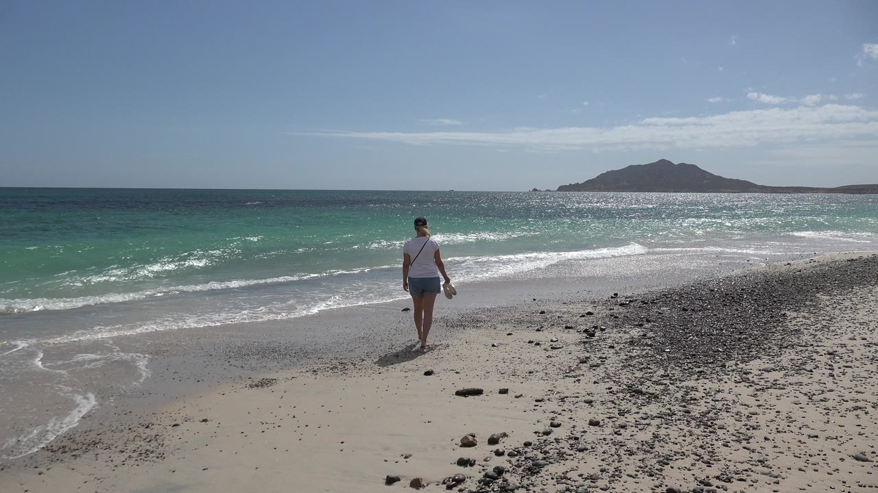 Lone adult walking barefoot near surf on a sandy beach.