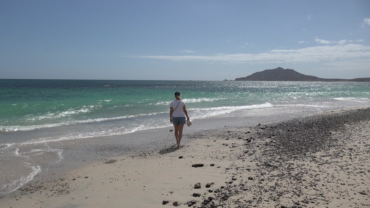 The adult remains near the center of the Cabo Pulmo beach frame as a white wave line breaks across the turquoise water behind them.