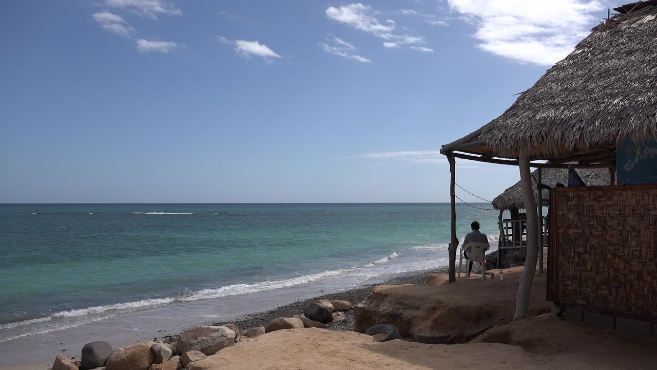 Seated man beside a thatched beach shelter facing the ocean
