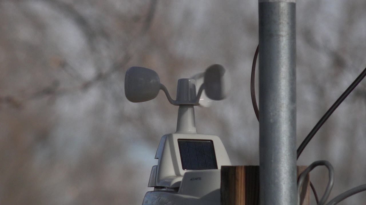 The Westminster weather device remains centered, showing the wind cups, rectangular solar panel, cable, and soft out-of-focus branches with no visible people.
