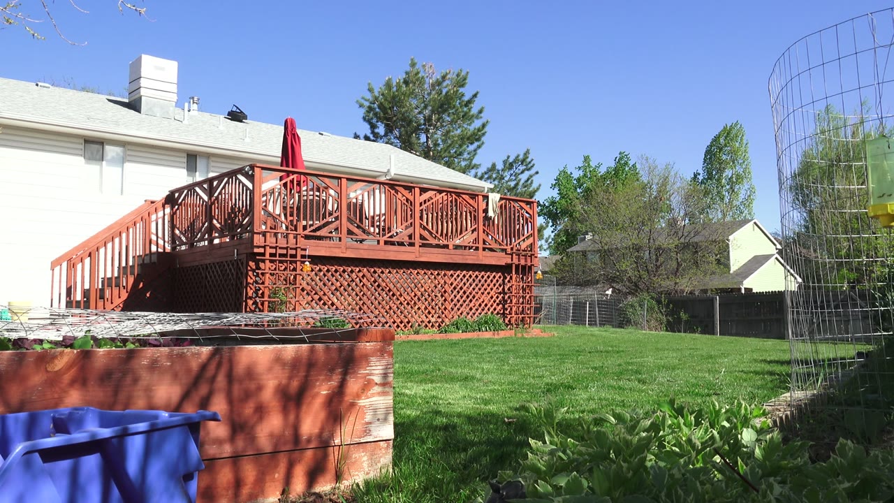 The second frame keeps the red deck centered beside the green lawn, with a white house, chimney, fence, trees, and blue foreground object visible in Westminster, Colorado.