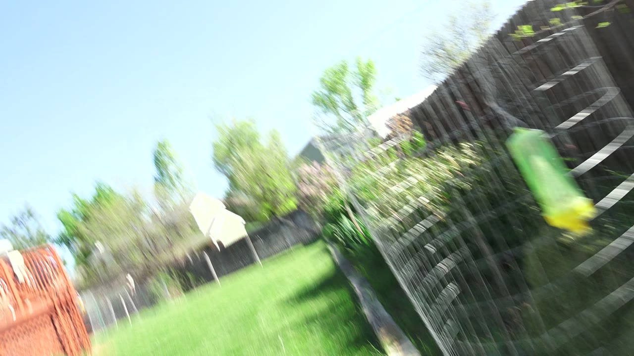 Blurred backyard with lawn, fence, shrubs, and deck edge.