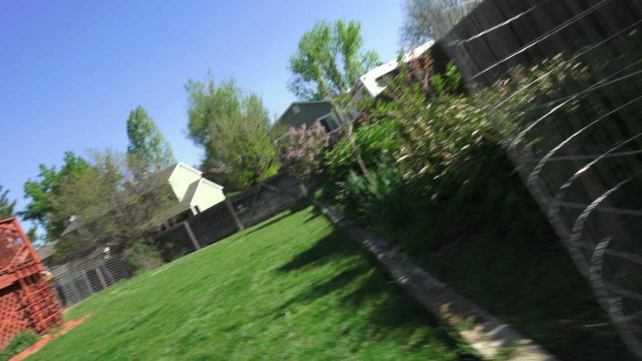 Wide tilted view across a Westminster, Colorado backyard lawn toward wooden fencing, shrubs, trees, nearby houses, blue sky, and no visible people.