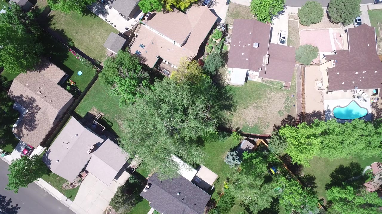 Westminster, Colorado aerial view looking straight down over rooftops, green yards, driveways, a small blue pool, parked vehicles, and no visible people.