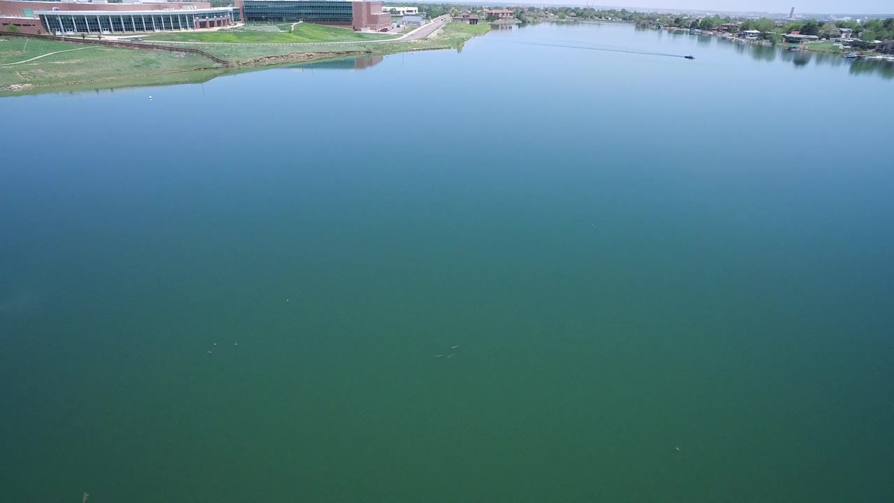 High aerial frame of the Westminster lake, with calm blue water filling most of the view, a small dark boat near the far shore, and no visible people.