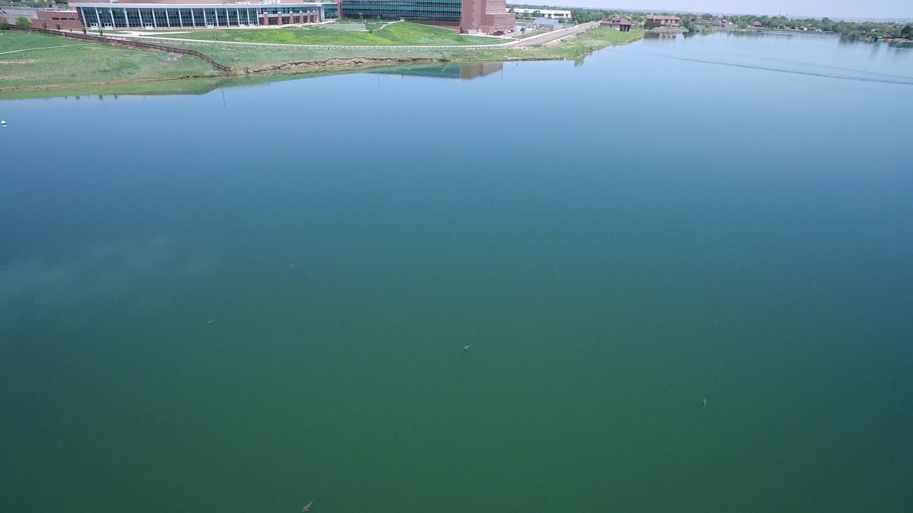 Calm water fills the frame with shoreline buildings across the upper edge.