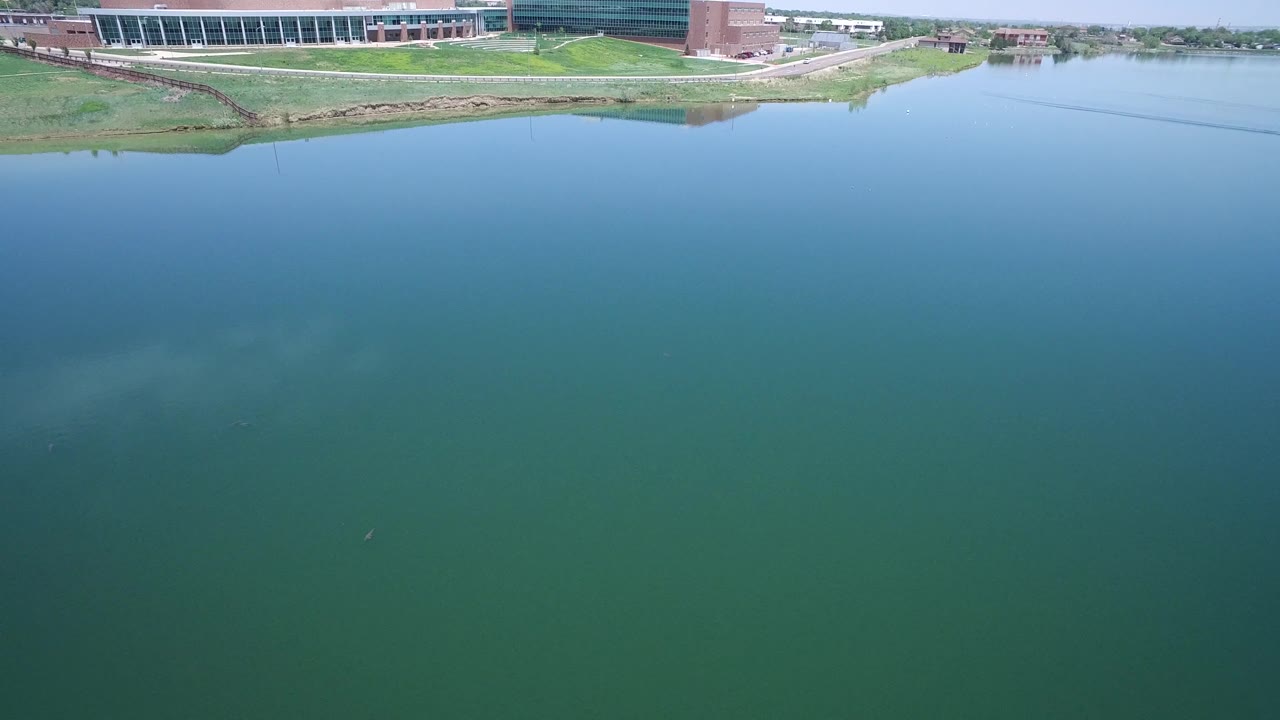 Lake water foreground with commercial buildings in distance