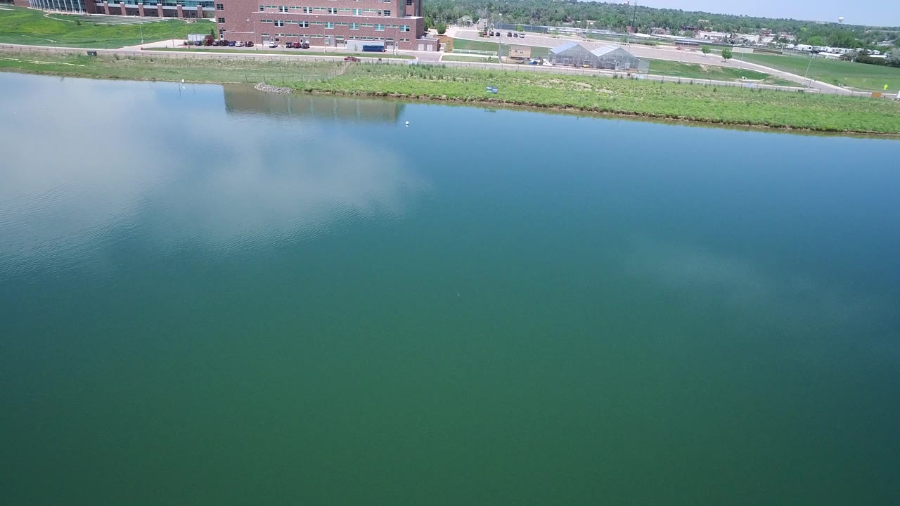 Aerial frame over green-blue water in Westminster, Colorado, with cloud reflections, a grassy shoreline, a road, brick buildings, and no visible people.