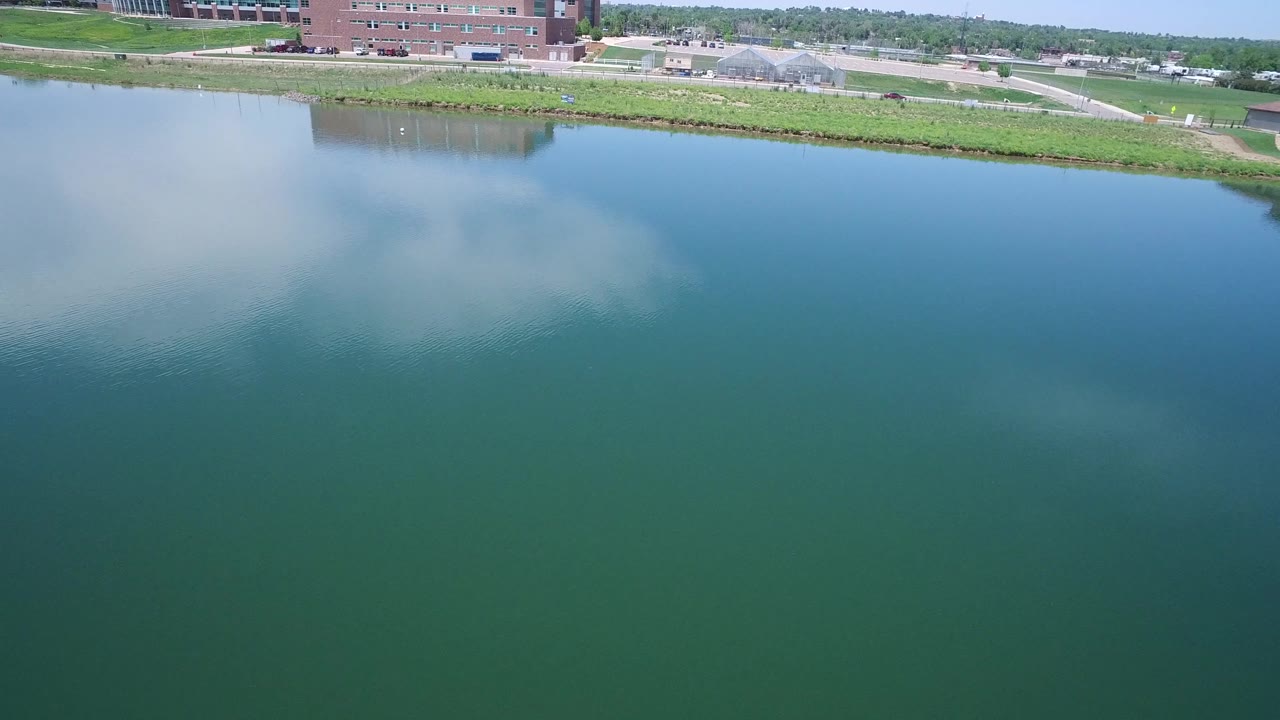 Westminster, Colorado pond surface fills the frame, with pale cloud reflection, a narrow green shoreline, paved paths, distant cars, and no visible people.